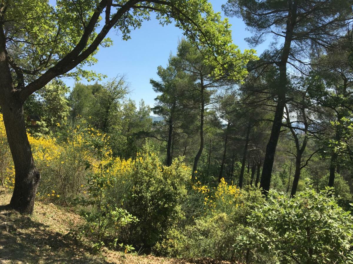 Villa De Carbonelle Pierrevert المظهر الخارجي الصورة
